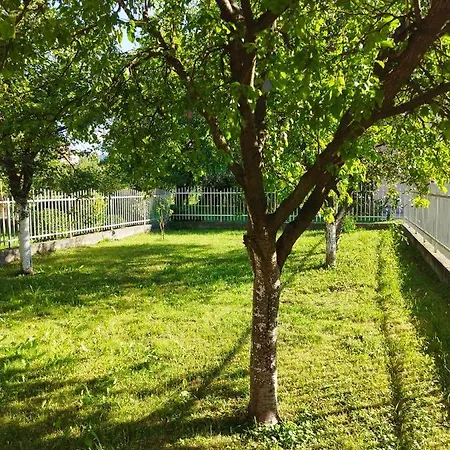 Amer Lux Apartament
