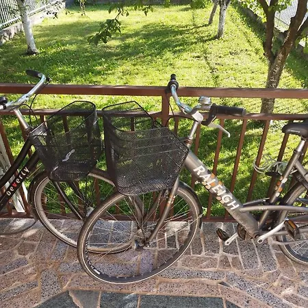 Amer Lux Apartament *